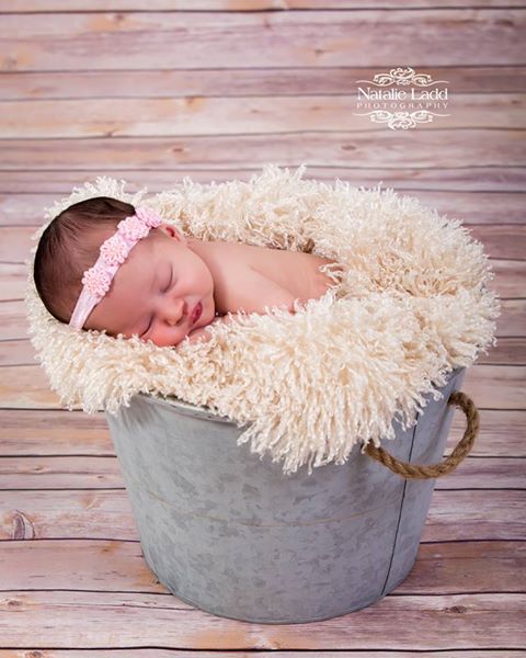 Newborn Photographer